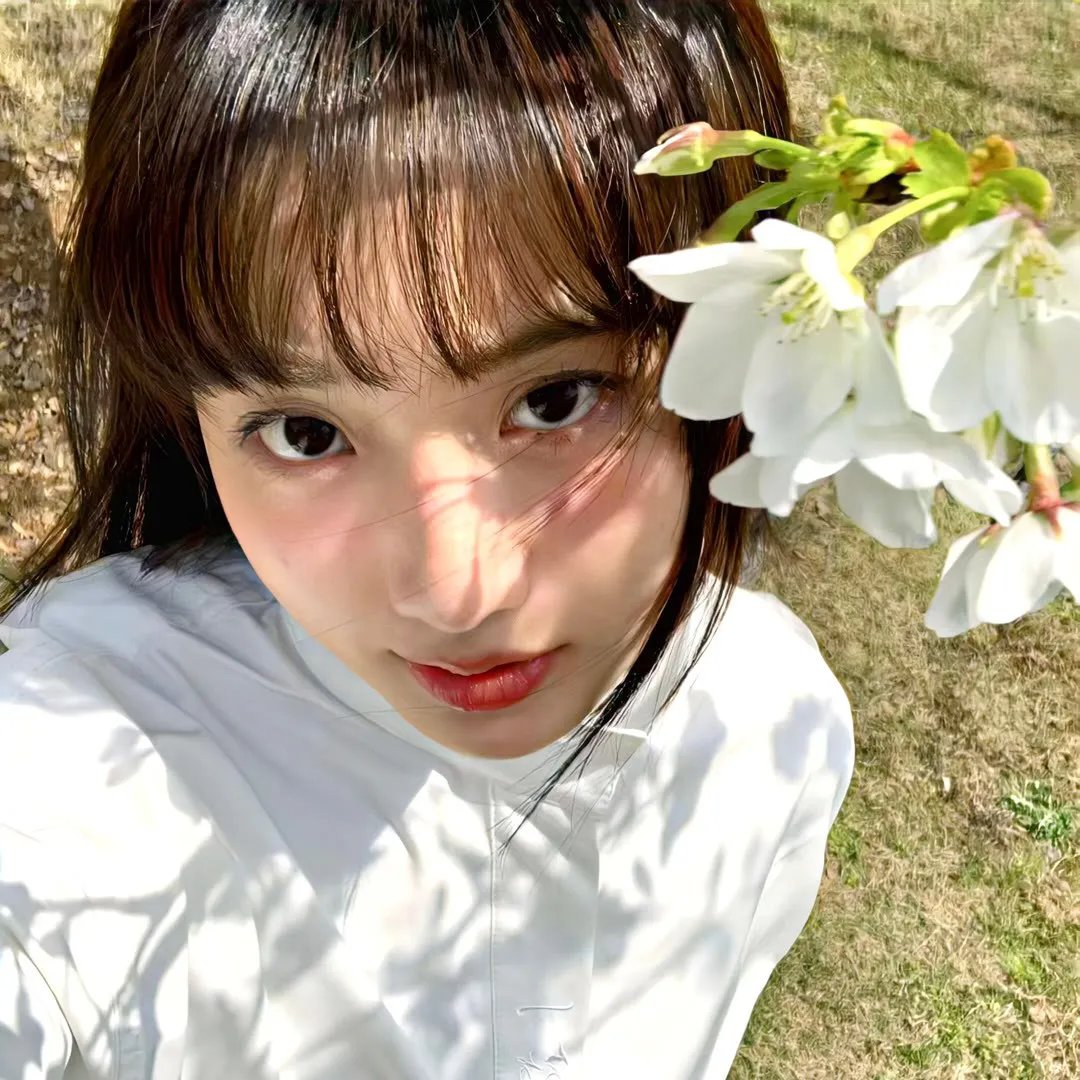 西格弗里德